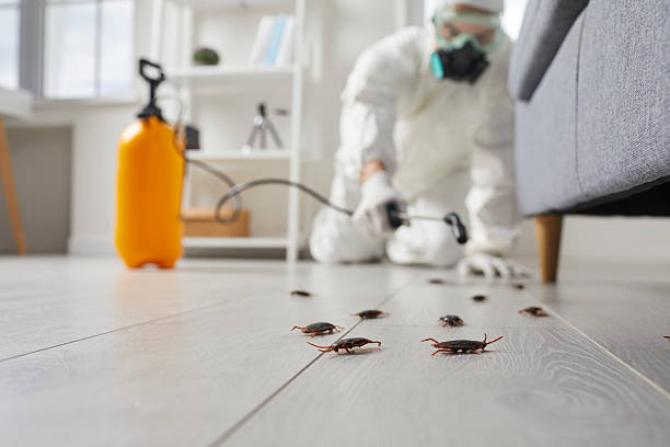 Commercial Kitchen Cockroach Control in Nassau Village-Ratliff